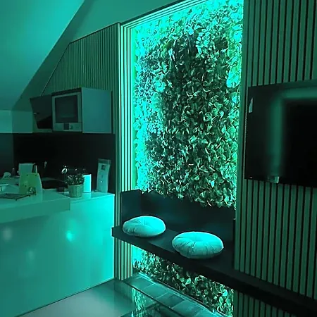 Wellness A - Avec Jacuzzi Pour 2 Personnes *